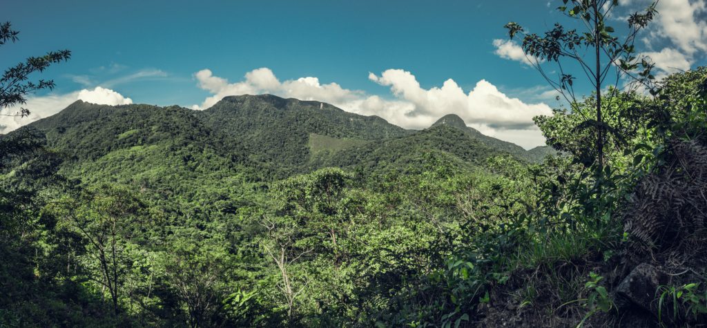 Amazon Jungle that houses Machu Picchu